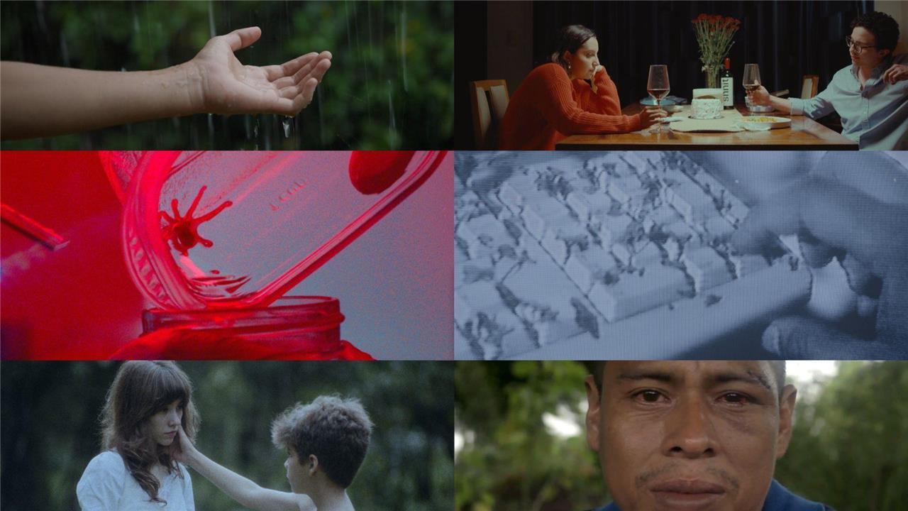 El Festival shnit San José finaliza su decimoquinta edición premiando lo mejor del cine en corto