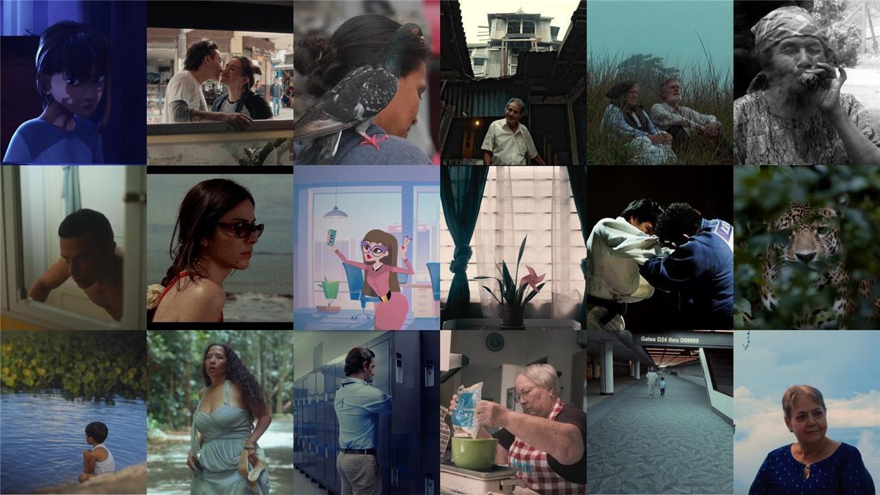 shnit San José revela los 18 cortometrajes que competirán en MADE IN COSTA RICA 2026